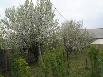 Купить частный дом, поселок Буланаш, ул.Челюскинцев, 3а